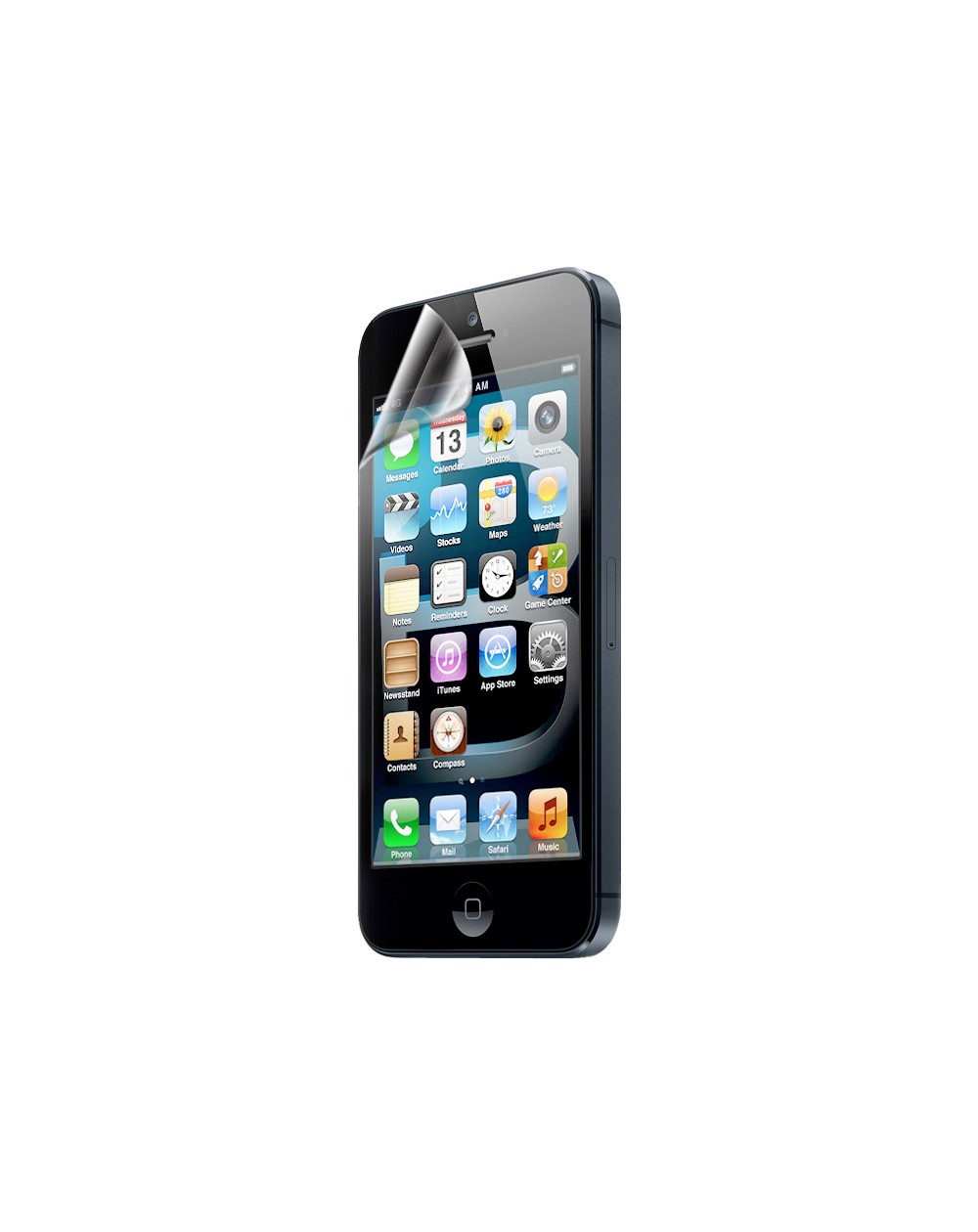 Protector De Pantalla iPhone 5