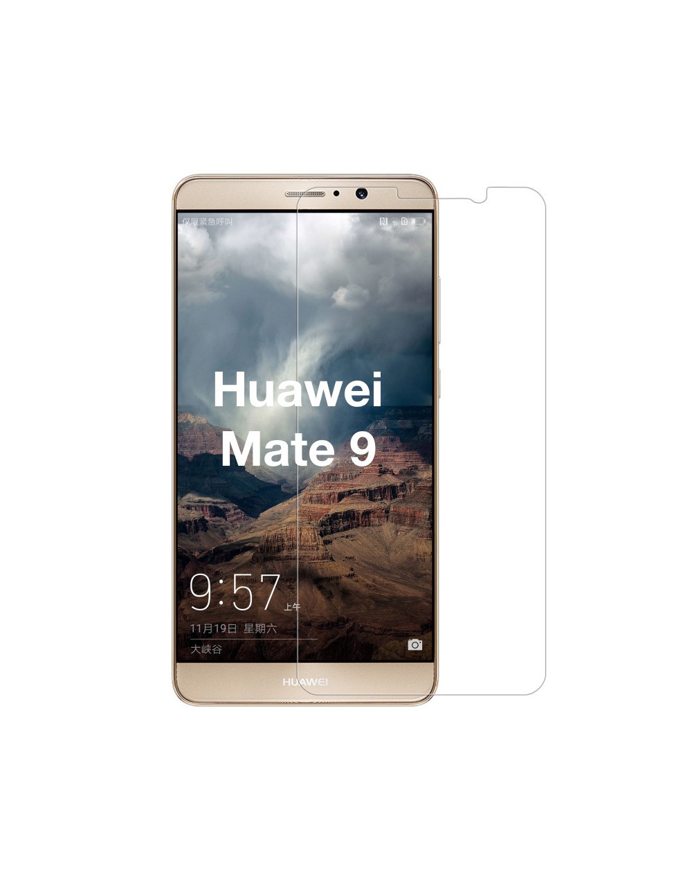 Protector de Pantalla Huawei Mate 9